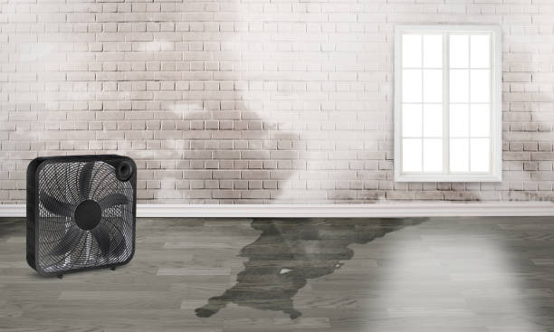 Best Fire Damage Restoration  in Mustang, OK