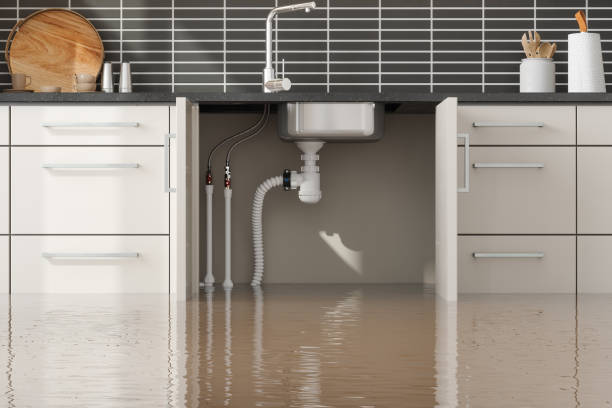 Best Water damage restoration company  in Mustang, OK