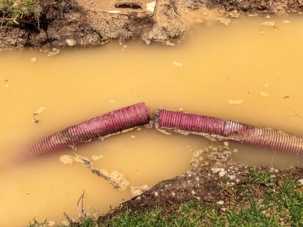 Best Carpet water damage restoration  in Mustang, OK